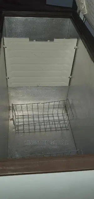High Quality German Deep Freezer for Frozen Food Business