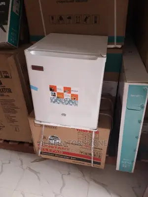 Fast Cooling Lg Freestanding Skyrun Bed Side Fridge BCD-55a