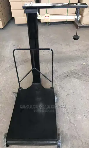 Affordable Motor King Scale
 300kg