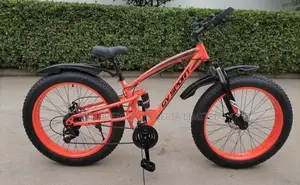 Fat, Giant Tyre Foldable Double Shock Absorber Bicycle