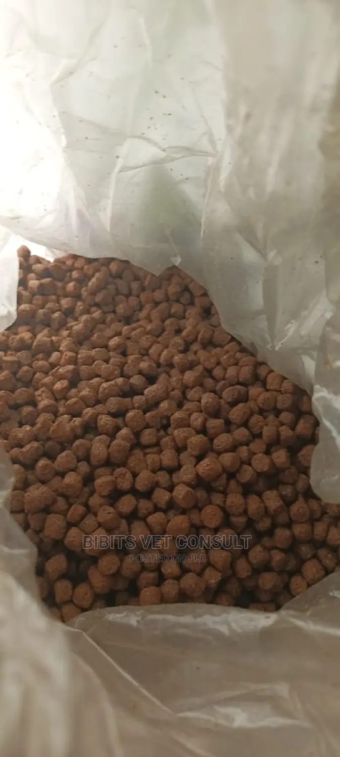 Amical Kibble Gallant for Dog 15kg
