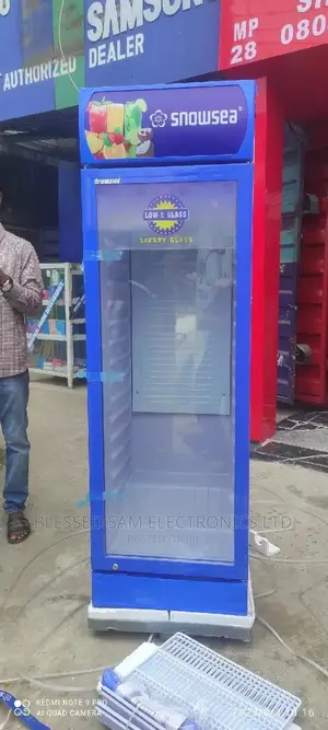 Snowsea Standing Chiller Freezer 260l Fast Freezing 2yrs
