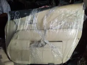 Lexus RX 350 Door Mat Front Right 2013 Model
