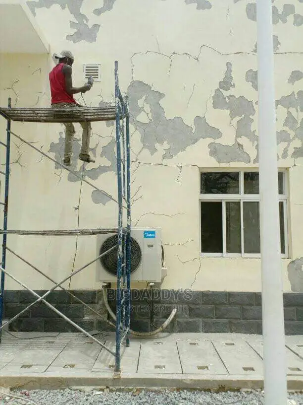Professional Painter