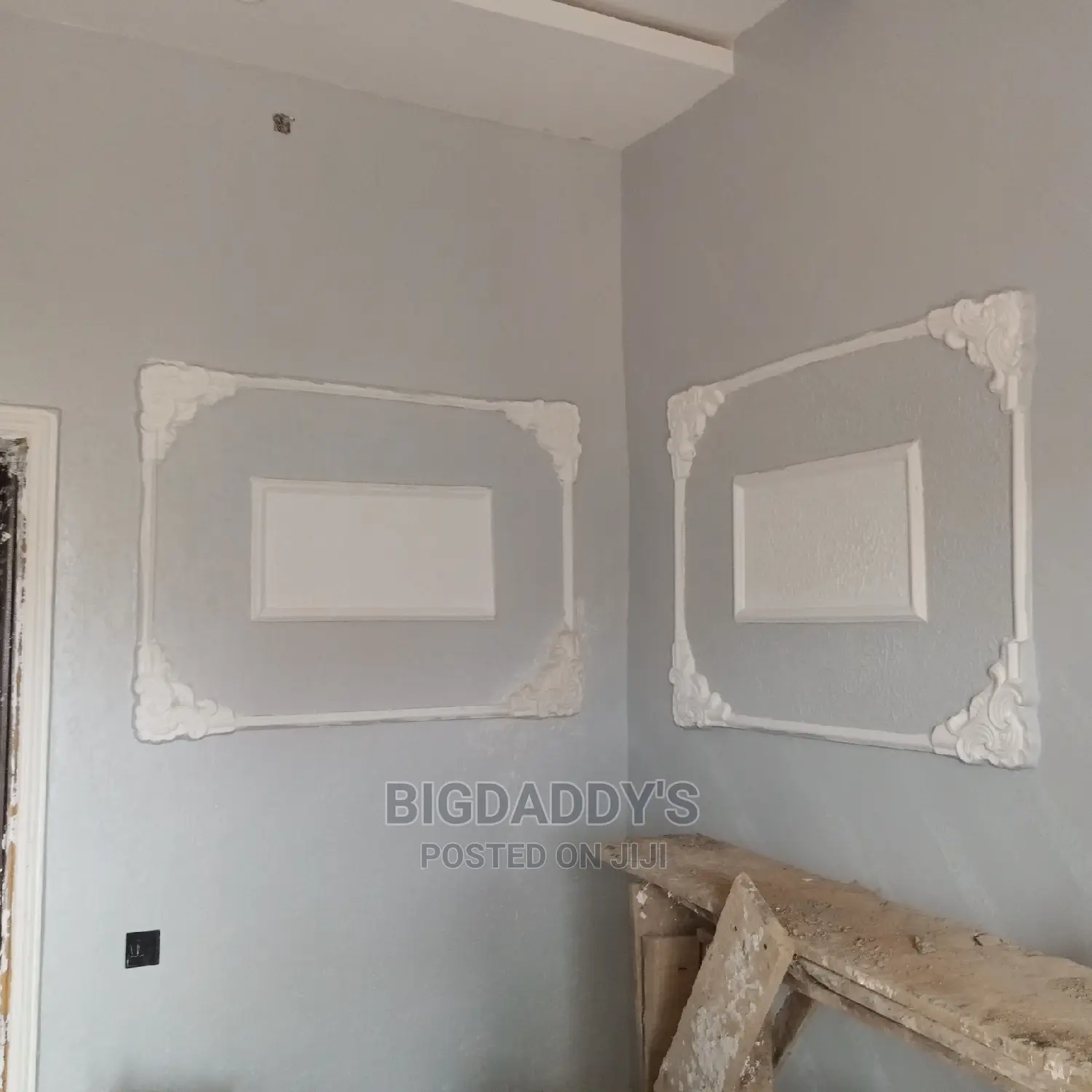 Professional Painter