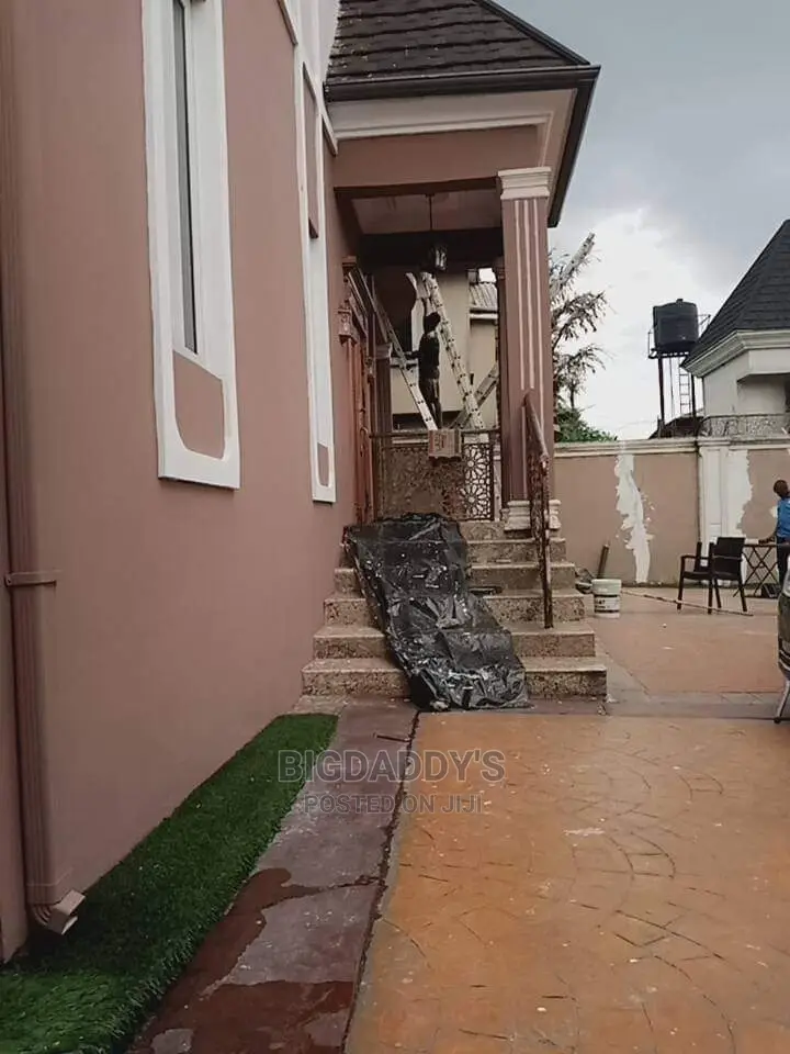 Professional Painter