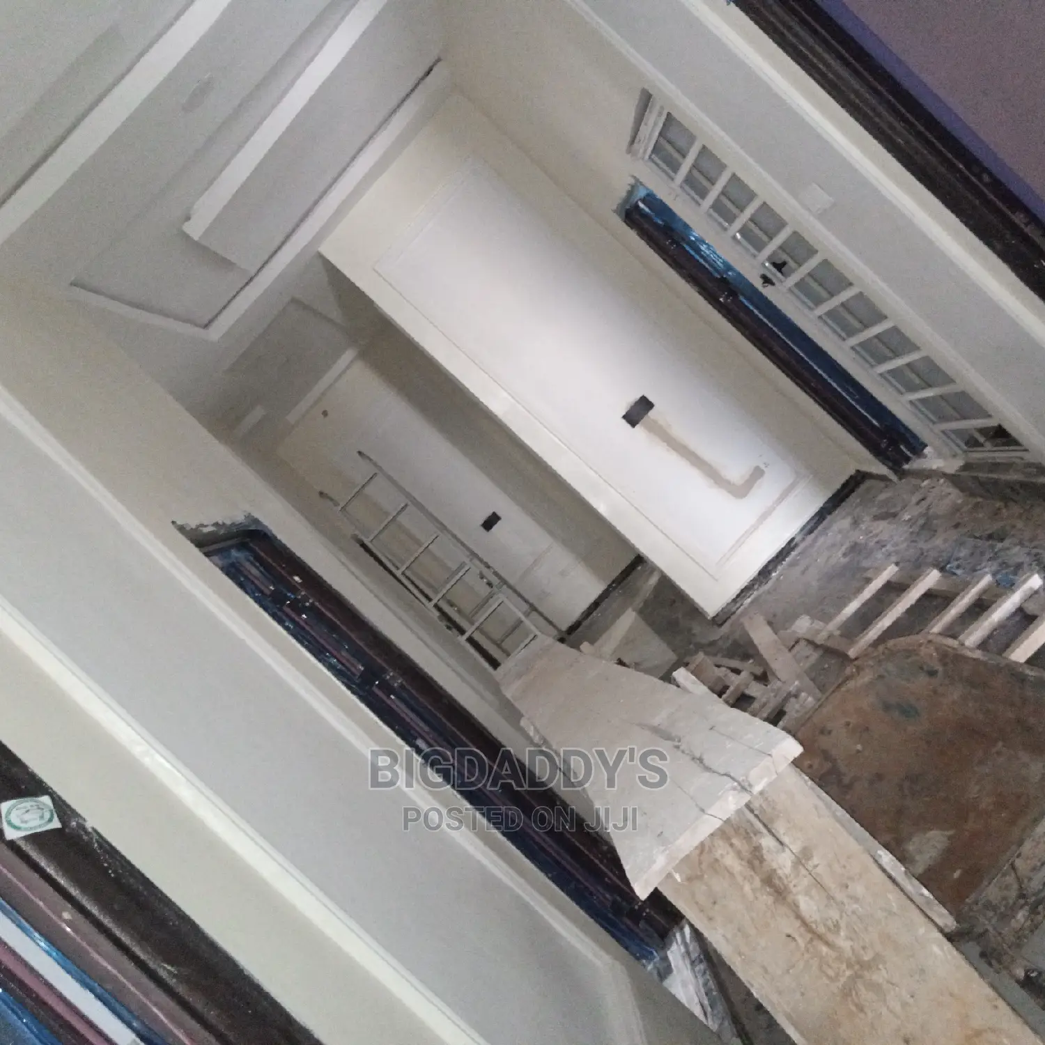 Professional Painter