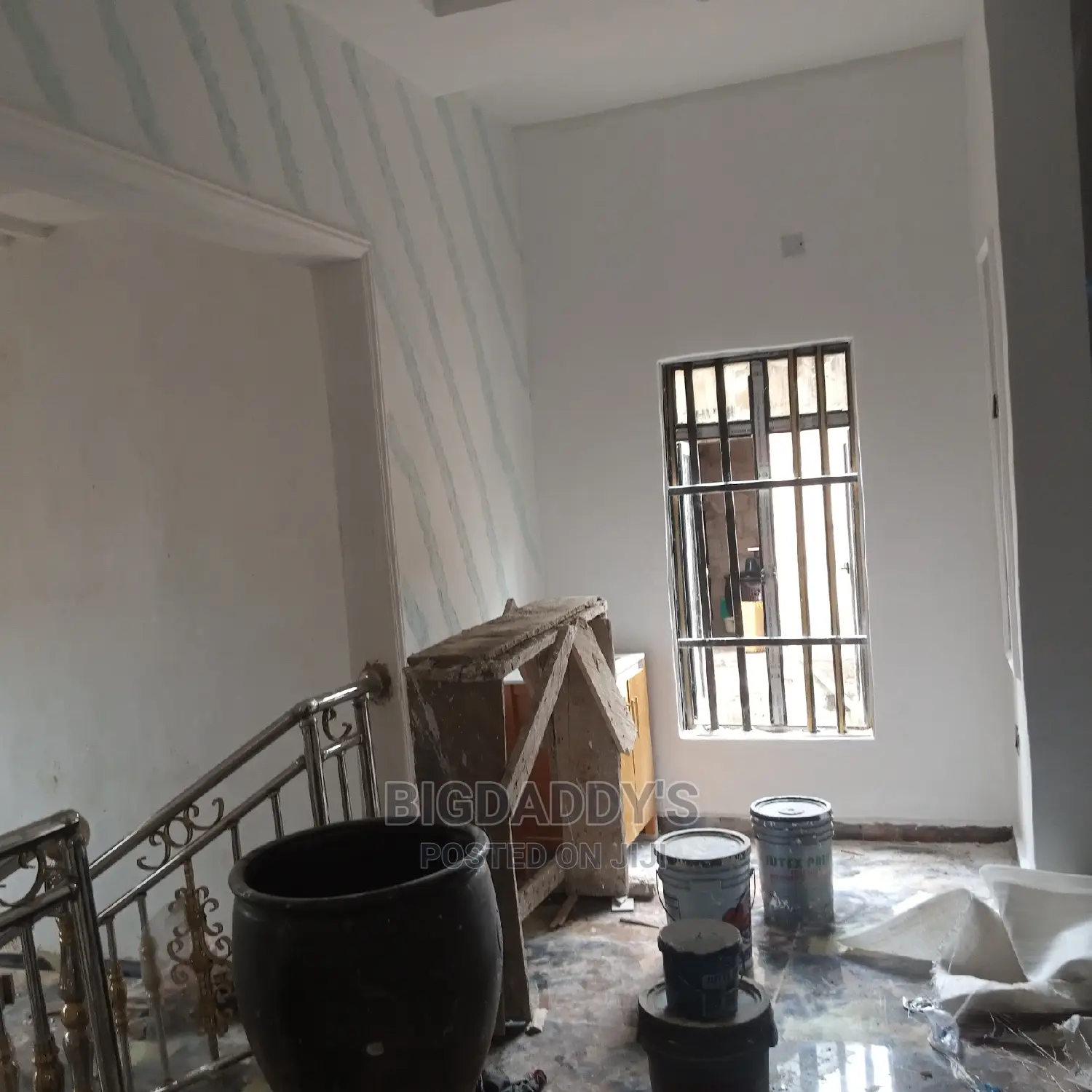 Professional Painter