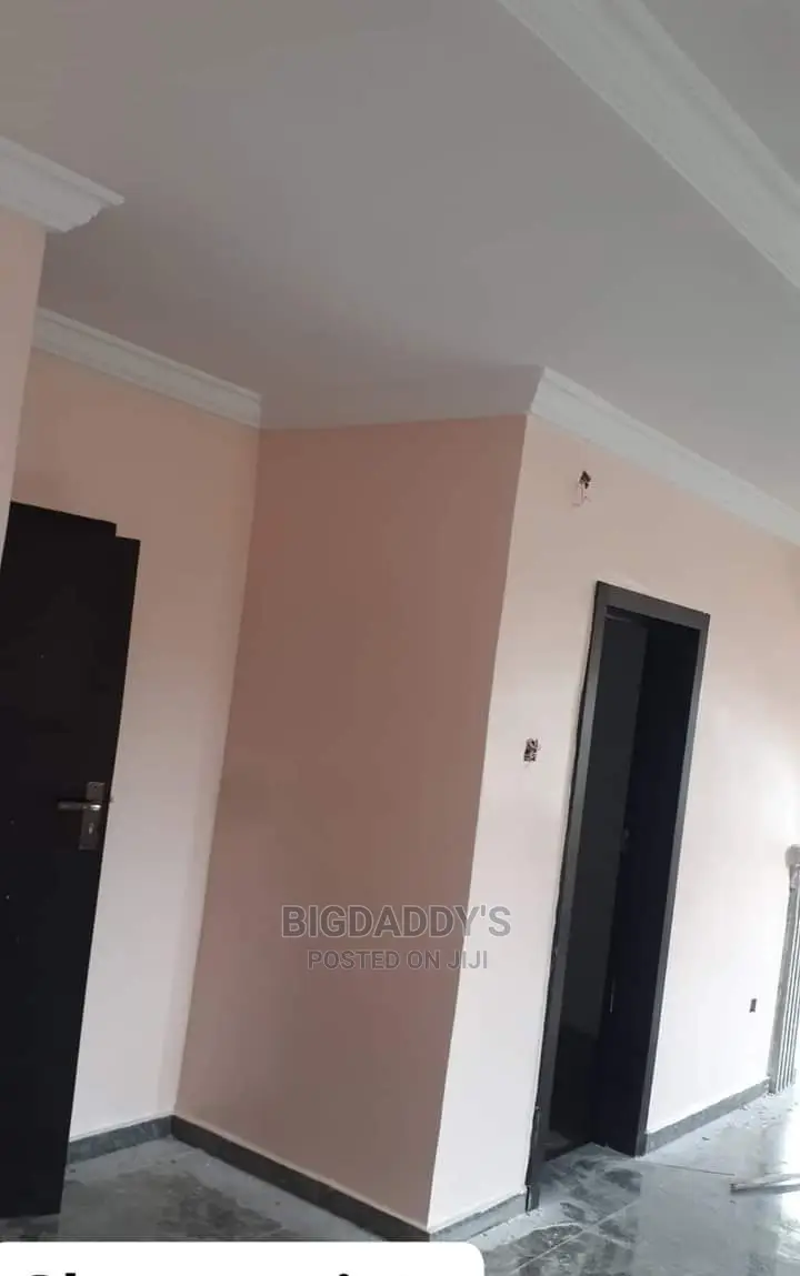 Professional Painter