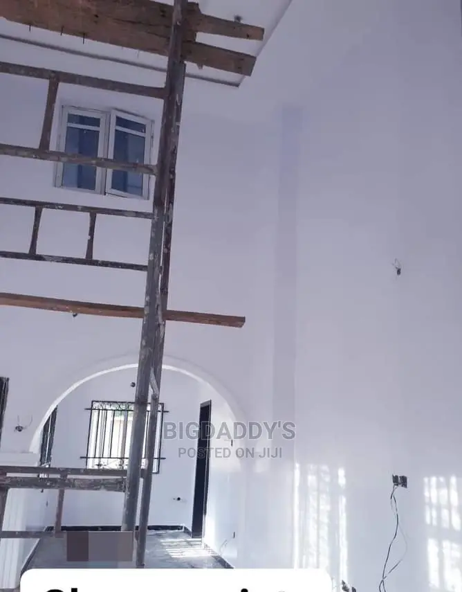Professional Painter