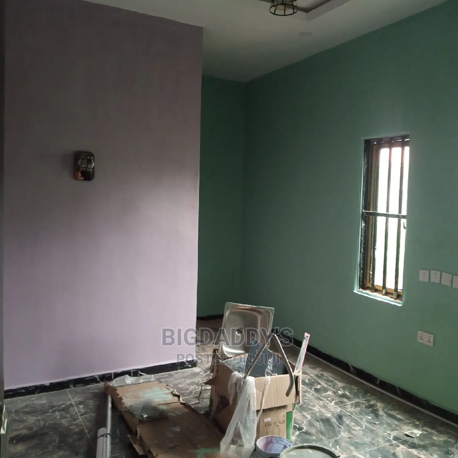 Professional Painter