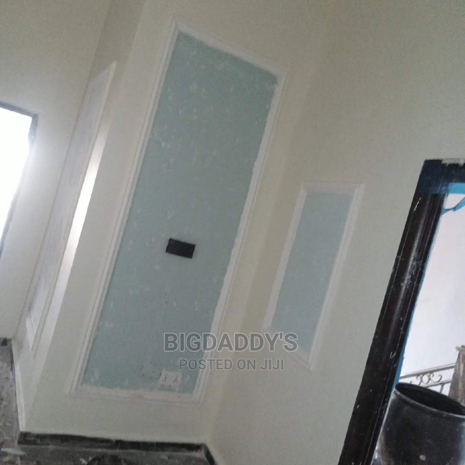 Professional Painter