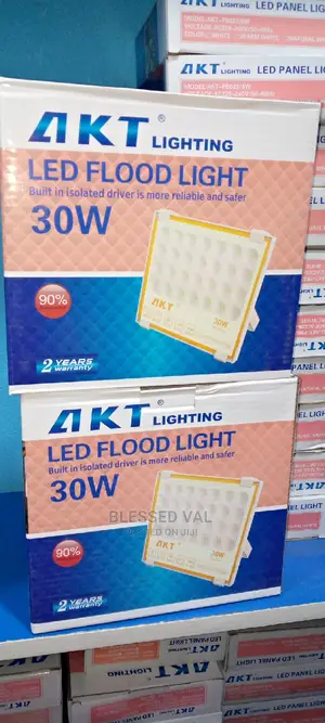 Akt 30W Flood Light