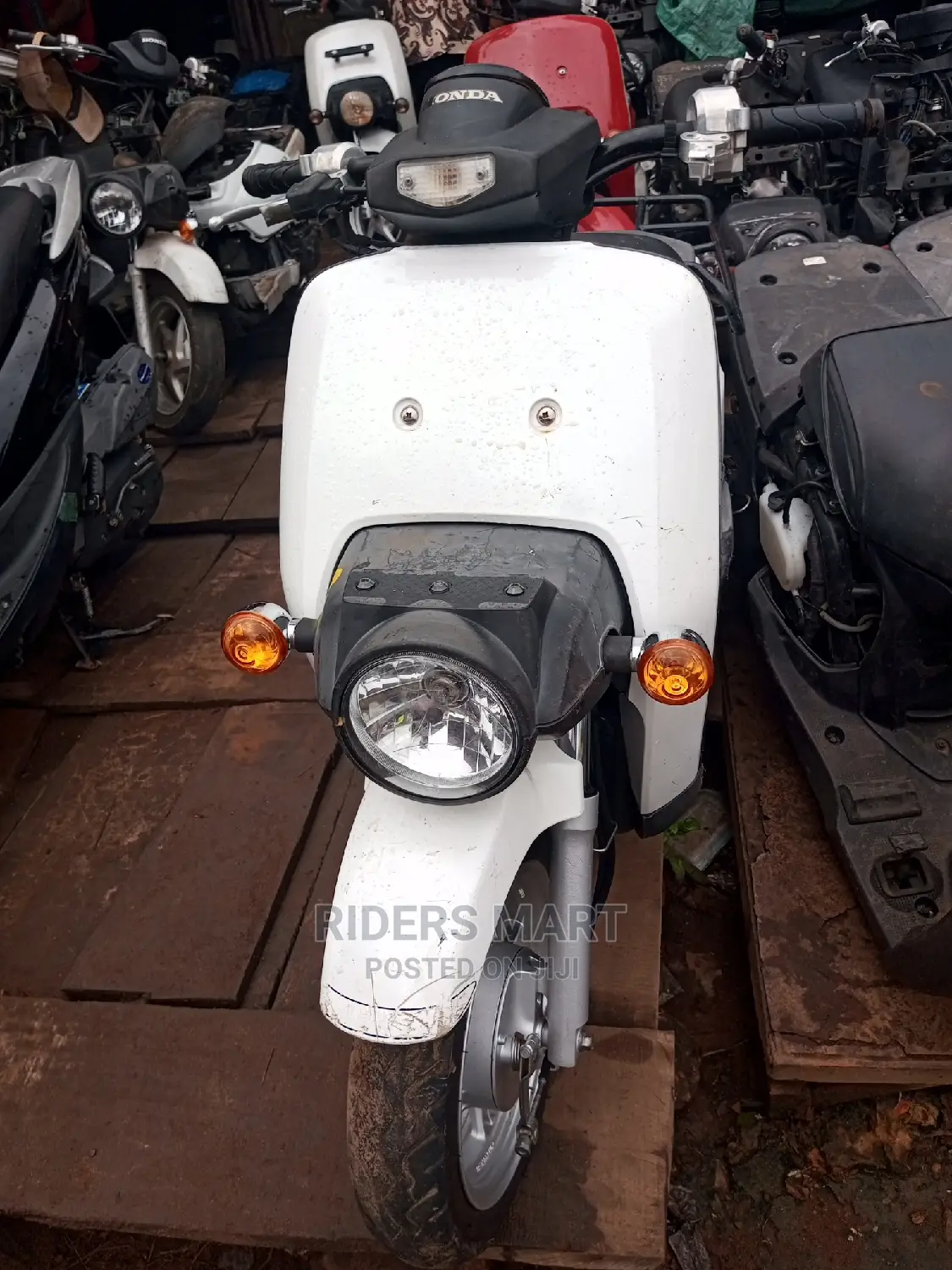 Honda 2020 White