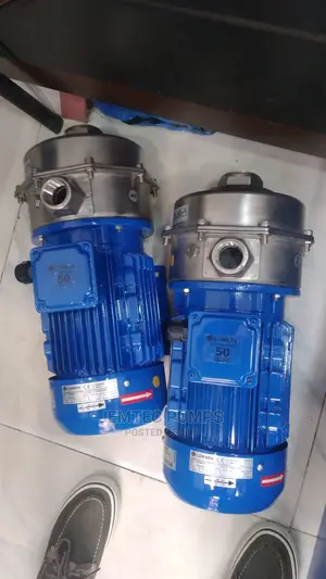 Lowara Stainless Steel Surface Pump