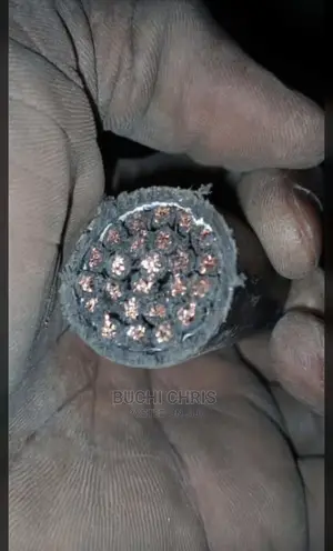 2.5mmx24core None Armored Cable