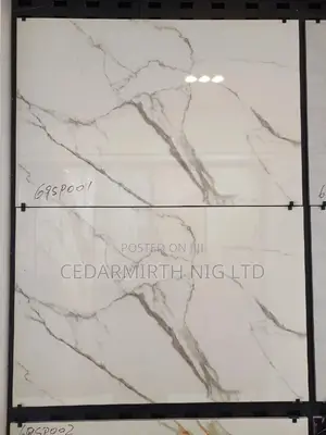 Floor Tile 60×90