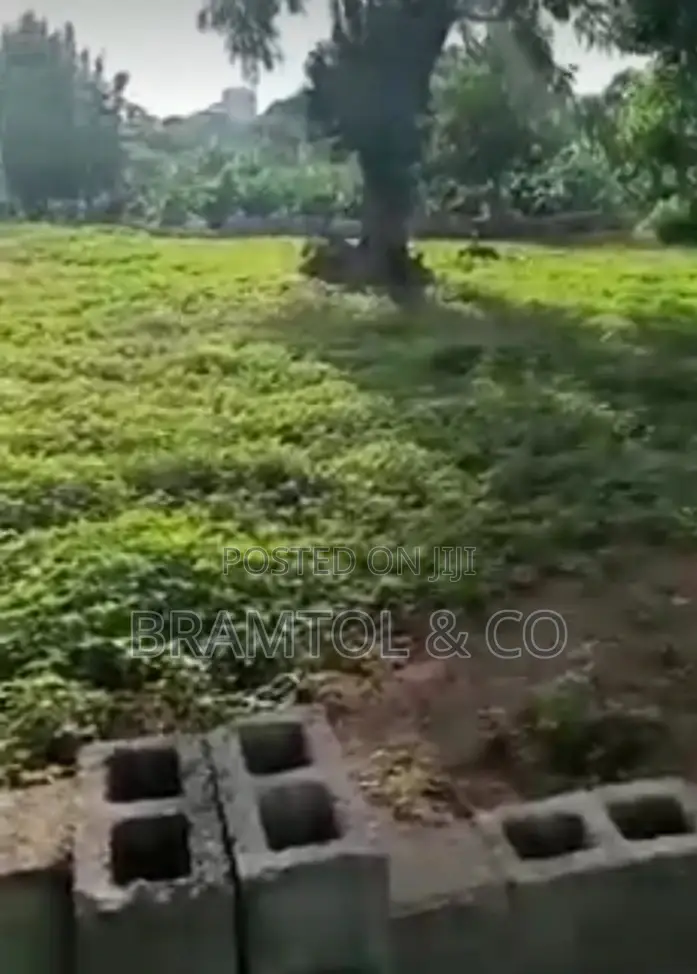 1300sqm Rofo Wuye Plot