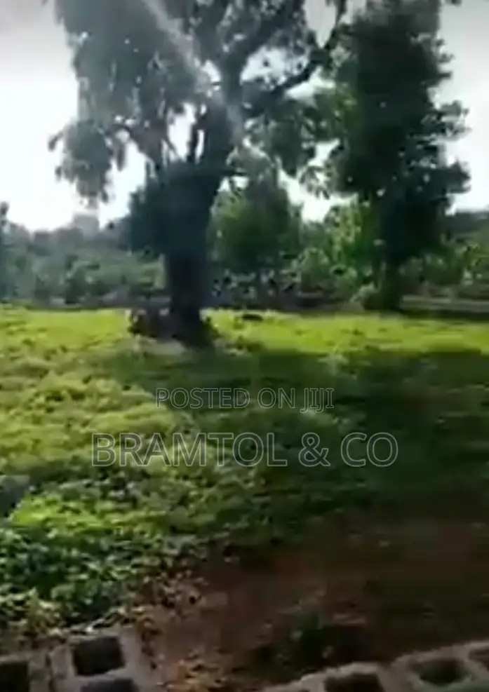 1300sqm Rofo Wuye Plot