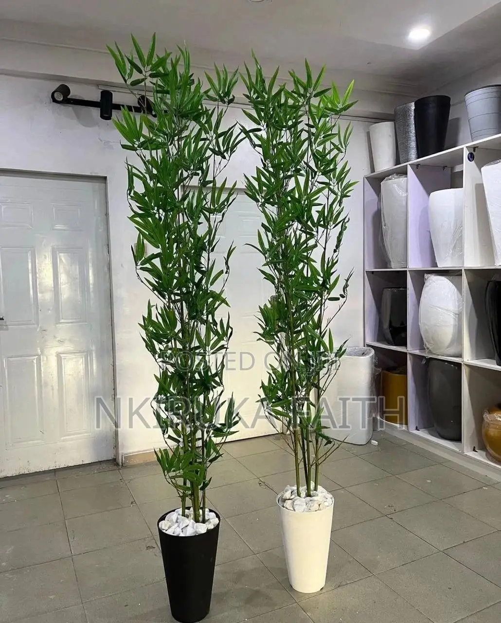 Bamboo Realistic Plant Very Tall
