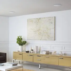 Bose 791 Ceiling Speaker
