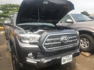 Toyota Tacoma 2017 Gray
