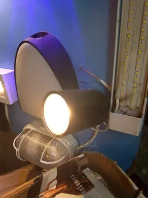 Single Down Light