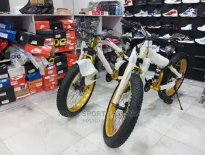 Bested Prolife Bike