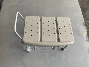 Double Bathing Chair