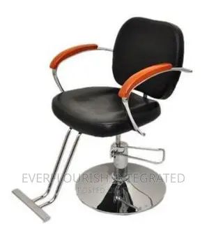 Barbing Salon/ Hairdressing Chair