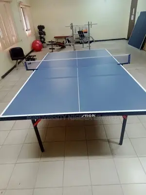 Indoor Table Tennis Board