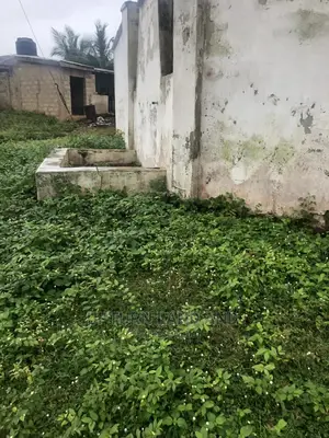 Posts of Land for Sale in Commercial Area in Ikeja