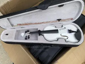 4/4 Violin Complete Set-White