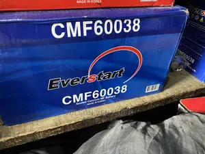 100ah Everstart Made in Korea