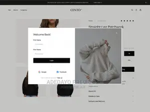 I Make Stunning Website Designs —No Upfront Payment
