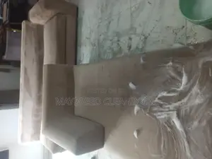 Best Couch and Rug Cleaning Services