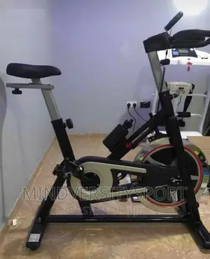 American Fitness Spin Bike