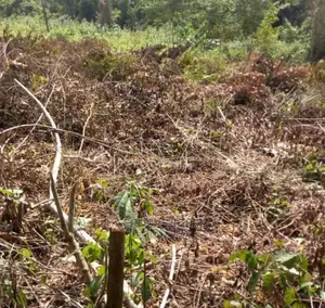 3,000sqm Waterfront Land Near Globus Bank