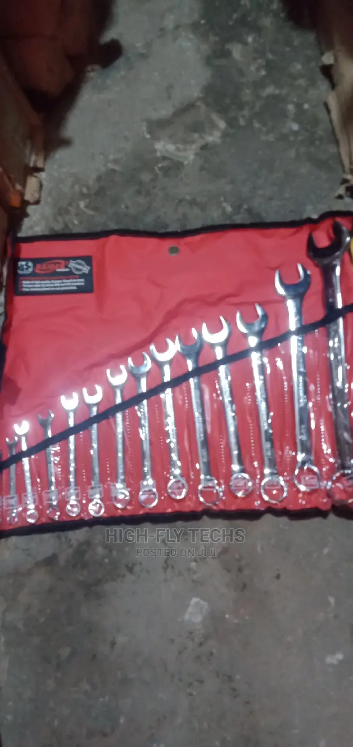 Raider 14pcs Combination Spanner Set