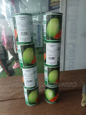 Photo - Technism Kaolack Watermelon Seed - 500g 100g