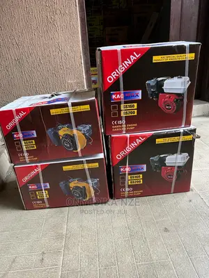Gasoline Engine