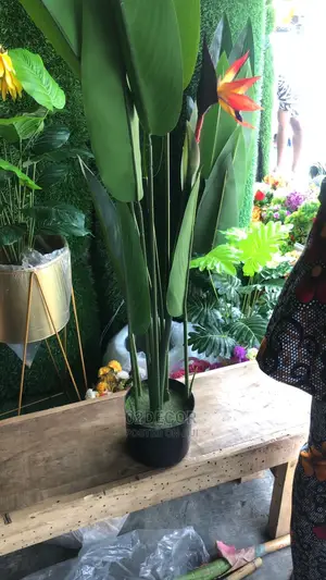 Artificial Plant 6ft Height