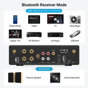 Arylic B50+ Amplifier