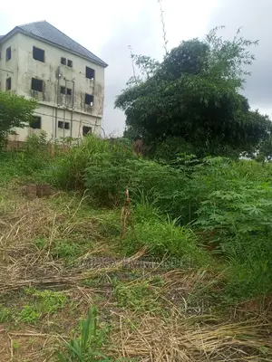 1 Plot of Land at Amansea for Sale