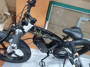Photo - Electric Bicycle Fat Giant Tyre