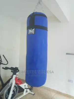 Biig Size Everlast Punching Bag