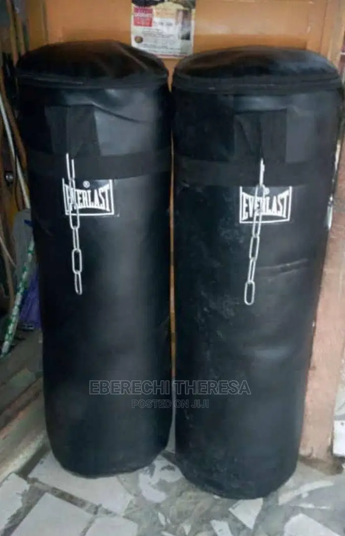 Biig Size Everlast Punching Bag