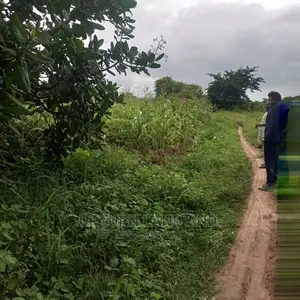 An 100 Acres of Land for Sale Suitable for Estate in Kobape