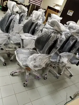 Office Chair (Orthopedic)