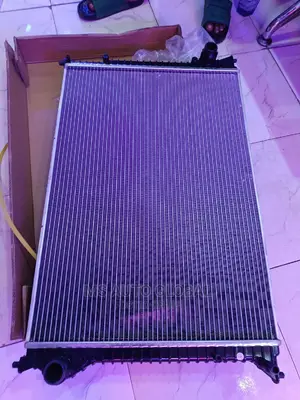 Bentley Radiator